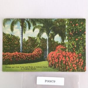 Orange & Palm Trees Colorful Flame Vines Tropical Florida 1940s Linen Postcard